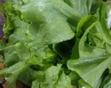 Foto del paso 8 de la receta: Shawarma de seitán - veggie vegan 🌱