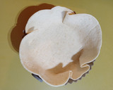 Foto del paso 1 de la receta: Cesta de espinacas