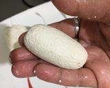 A picture of step 5 of Malai Chop.