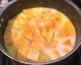 Foto del paso 4 de la receta: Sopa cremosa de zapallo anco y zanahoria 🥕 - versión light y calórica