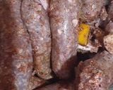 صورة لخطوة 3 من وصفة طاجن البطاطس بالسجق 🥔