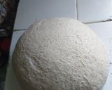 Foto del paso 2 de la receta: Pan rústico natural