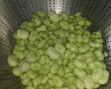 Foto del paso 2 de la receta: Habas con cebolla y pollo