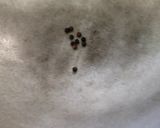 A picture of step 1 of Kashayam (South Indian chai).