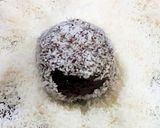 Foto del paso 7 de la receta: Trufas de mi Mamá