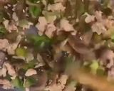عکس مرحله 3 از دستور فینگر فود مرغ و سبزیجات