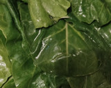 Foto del paso 1 de la receta: Strüdel de Acelgas