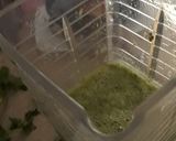 Foto del paso 3 de la receta: Costillita de Res en salsa verde fácil