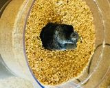 A picture of step 4 of Oats and sesame ladoo.