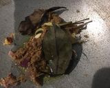 Foto langkah ke 2 dari resep Opor ayam khas Jepara.