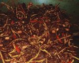Foto langkah ke 7 dari resep Sambal Goreng Daging Sapi.