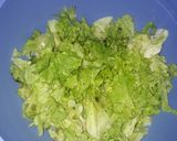 Foto del paso 2 de la receta: Ensalada de lechuga, tomate, zanahoria, cebolla y huevo duro