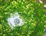 Foto del paso 4 de la receta: Estofado de otoño
