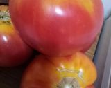Foto del paso 3 de la receta: Pica pica de Calamar picant