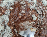 Foto del paso 2 de la receta: Galletitas de cacao y mandarina 🍊 base de avena y frutos secos 🍊sin azúcar ni edulcorante