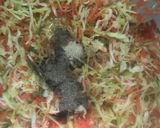 A picture of step 6 of Egg Fried Rice.