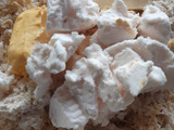 Conchas