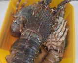 Foto langkah ke 1 dari resep Lobster saus padang.