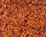 A picture of step 2 of Whole Ragi Masala Appe.