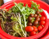 Hình bước làm 1 của món Salad Bơ Tôm Áp Chảo