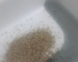 A picture of step 3 of Kolkata phirni.