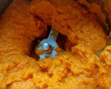 Une image de l'étape 3 de Purée de potimarrons au cook expert.