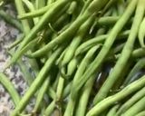 Une image de l'étape 7 de Haricots🍂vert🍃en mode végan🌱.