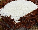 Foto del paso 5 de la receta: Arroz con lubina y Portobello 🐟 🍄