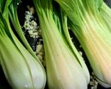 Foto del paso 2 de la receta Pak Choi salteado con ajo y limón