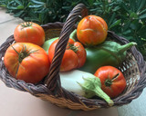 Foto del paso 1 de la receta: Berenjenas a la plancha con orégano