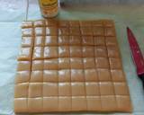 Vickys Coconut Milk Caramels, GF DF EF SF NF recipe step 7 photo