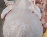 Foto langkah ke 4 dari resep Ayam Kodok Anniversary.