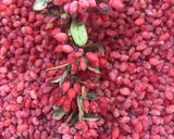 عکس مرحله 1 از دستور مربای زرشک