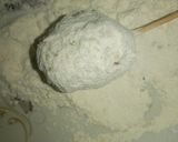 A picture of step 5 of Stick yam balls.