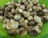Hình bước làm 1 của món Nấm rơm kho tiêu