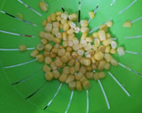 Foto del paso 7 de la receta: Alubias blancas con verduras
