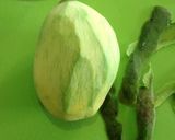 Une image de l'étape 1 de Souskay de Mangue verte.