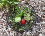 Foto langkah ke 6 dari resep Sambal Cabe Hijau Khas Minang (Sambal Lado Mudo).