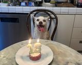 Foto del passaggio 1 della ricetta Una torta per una giornata speciale