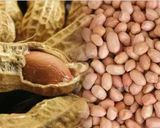 Foto langkah ke 1 dari resep Miencin(kacang tanah+ cecek tepung).