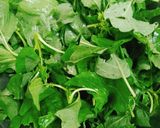 Hình bước làm 1 của món Rau dền nấu canh tôm