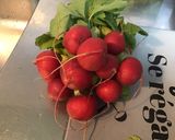 Une image de l'étape 1 de Salade de concombre aux tomates,céleri branche et radis ronds.