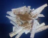 A picture of step 3 of Oven roasted crispy arrow root sticks with buttered onions.