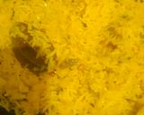 केसरिया मीठे चावल(kesariya mithe chawal recipe in hindi) रेसिपी चरण 4 फोटो