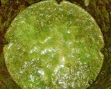 धनिया चटनी (dhaniya chutney recipe in Hindi) रेसिपी चरण 3 फोटो
