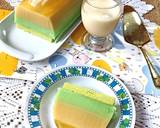 Cara Membuat Puding Kelapa Pandan 3