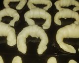 Foto del paso 6 de la receta: Medialunas de manteca sin hojaldre, quedan esponjosas tiernas