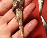 Foto del paso 21 de la receta Anchoas en salazón y con hierbas aromáticas, con mi método de treinta días de curación