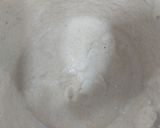 A picture of step 2 of Mustard chicken.