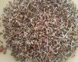 முளைக்கட்டிய பயறு குழம்பு ரெசிபி ஸ்டேப் 1 புகைப்படம்